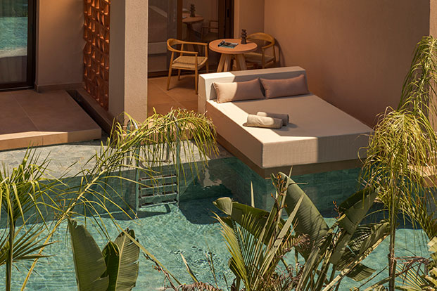 Executive New Double Swim Up With Share Pool